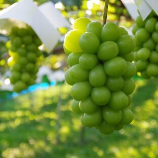 非公開: 画像サイズ