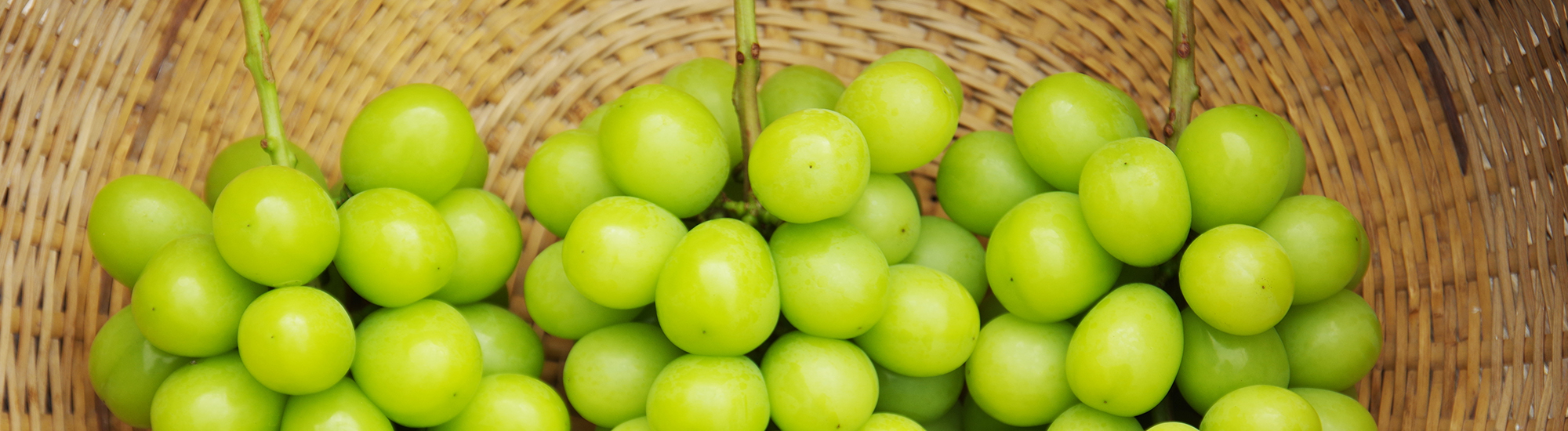 旬な果実 季節限定のくだもの特集