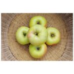 ぐんま名月 5kg | Orcafarm