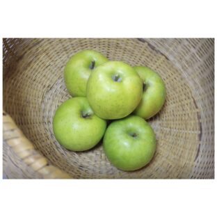 王林 ５ｋｇ家庭用