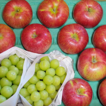 シナノスイート８～１６個＋シャインマスカット２房（約１．０ｋｇ） セット