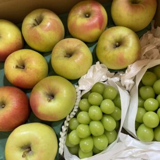 ぐんま名月８～１６個＋シャインマスカット２房 （約１．０ｋｇ）セット