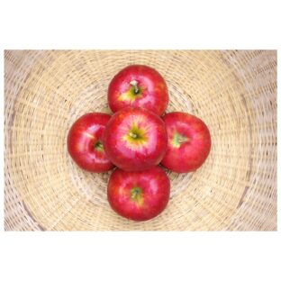紅玉 ９ｋｇ
